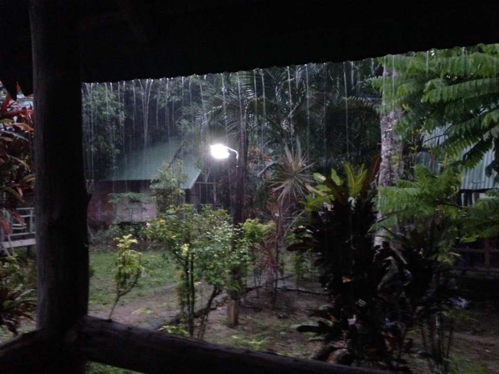 Widok z tarasu podczas tropikalnego deszczu.
